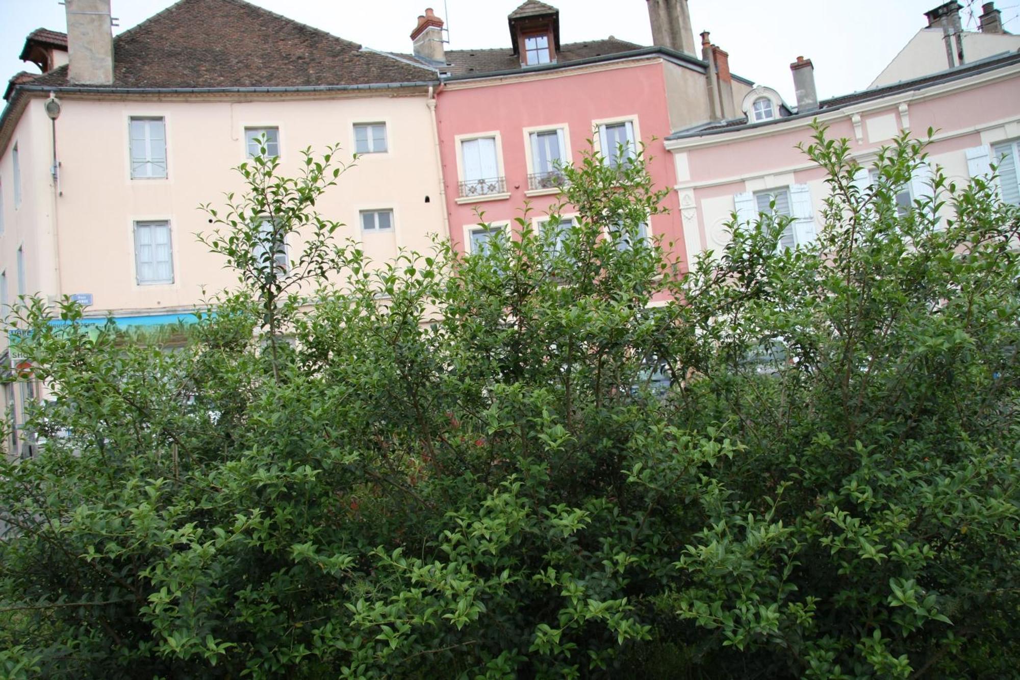 Appartement Haut De Gamme Centre Ville Chalon-sur-Saône Zewnętrze zdjęcie